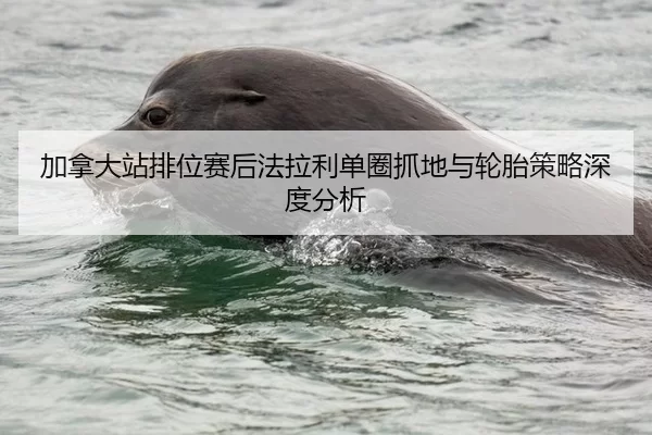 加拿大站排位赛后法拉利单圈抓地与轮胎策略深度分析